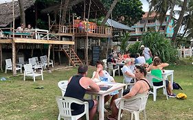 Honey Beach Hostel